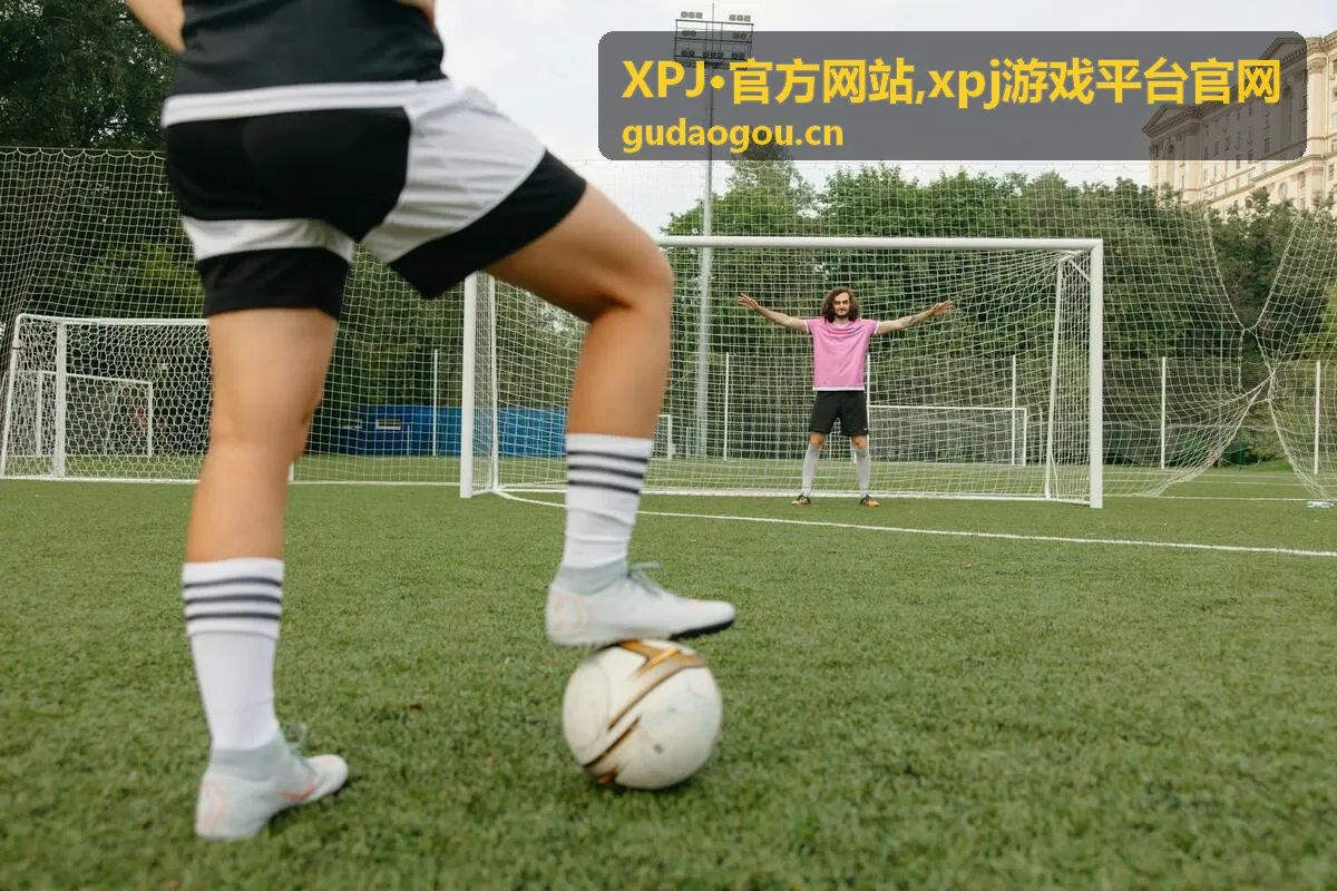 XPJ官方网站平台入口指南背景图