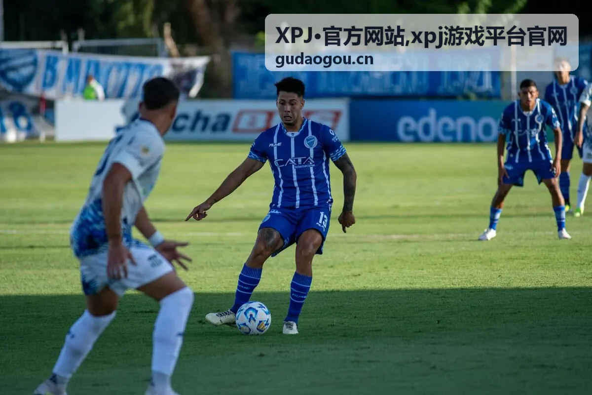 XPJ官方网站入口识别内容卡片