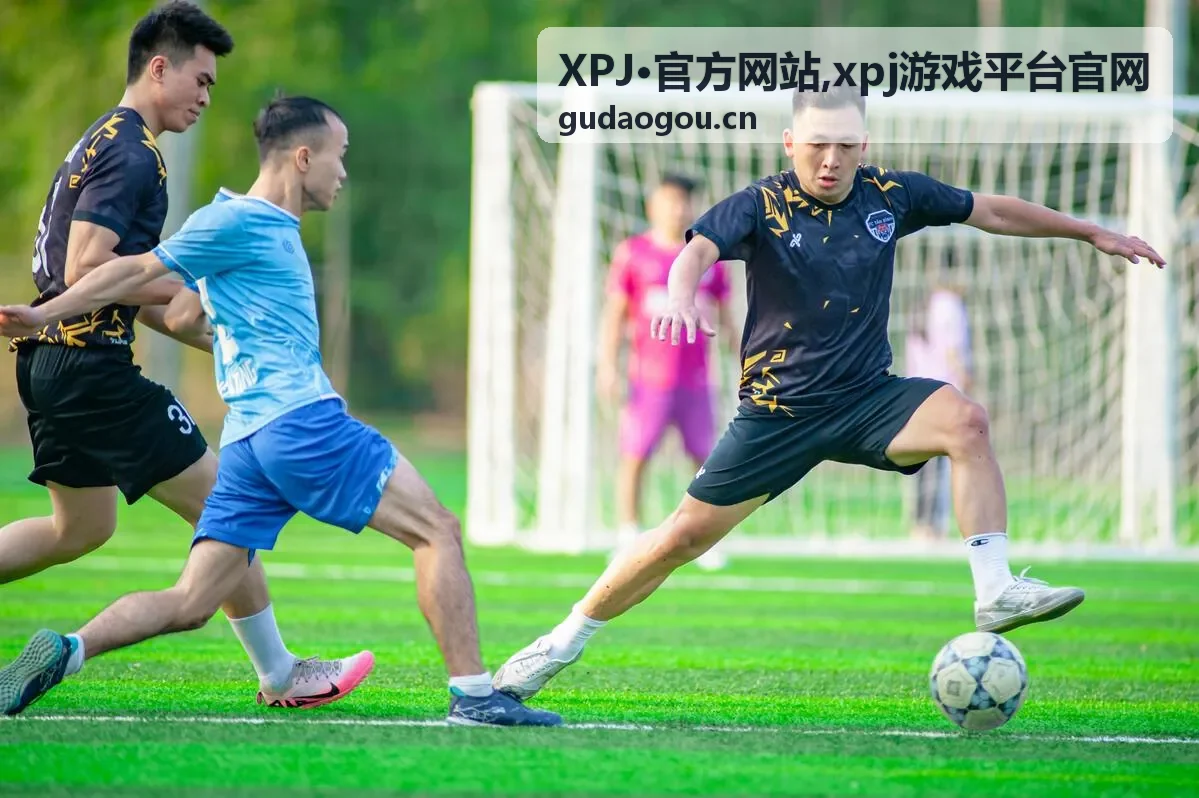 XPJ·官方网站公告与访问提示内容卡片
